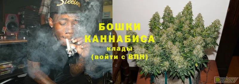 блэк спрут ССЫЛКА  Бор  Марихуана THC 21% 